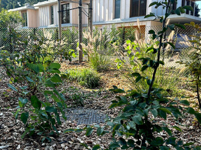 ENTRETIEN-AUTOMNE-ESPACES-VERTS-COPROPRIETE-GENEVE-5