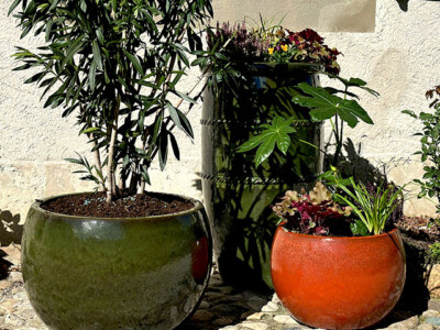 ENTRETIEN-AUTOMNE-ESPACES-VERTS-COPROPRIETE-GENEVE-6