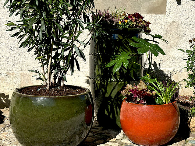 ENTRETIEN-AUTOMNE-ESPACES-VERTS-COPROPRIETE-GENEVE-6