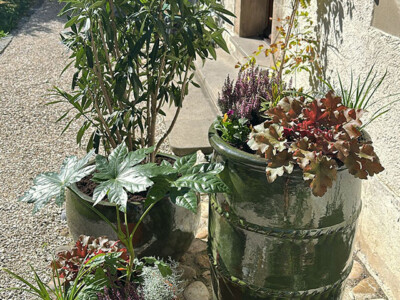 ENTRETIEN-AUTOMNE-ESPACES-VERTS-POTS-BALCON-TERRASSE-GENEVE-1