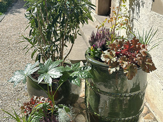 ENTRETIEN-AUTOMNE-ESPACES-VERTS-POTS-BALCON-TERRASSE-GENEVE-1