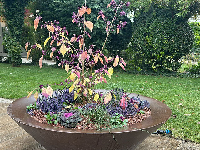 ENTRETIEN-AUTOMNE-ESPACES-VERTS-POTS-BALCON-TERRASSE-GENEVE-2
