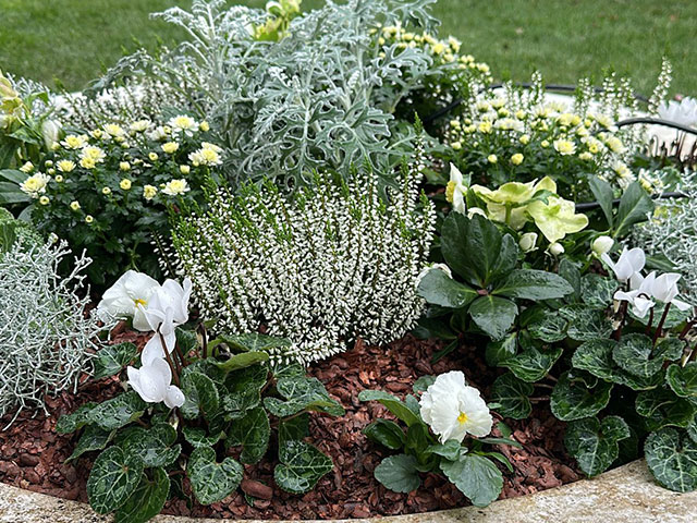 ENTRETIEN-AUTOMNE-ESPACES-VERTS-POTS-BALCON-TERRASSE-GENEVE-5