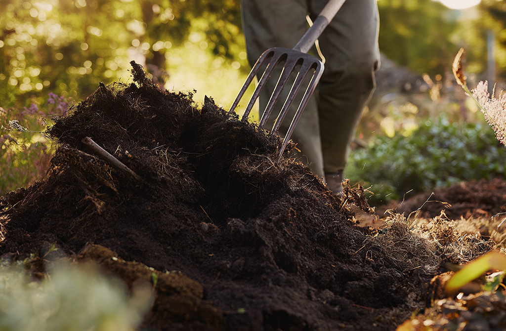 ENTRETIEN-JARDIN-GENEVE ENTRETIEN-JARDIN-GENEVE