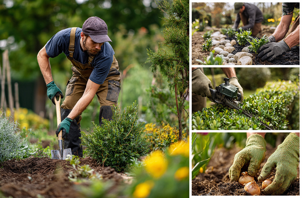 ENTRETIEN-TAILLE-JARDIN-ESPACES-VERTS-GENEVE