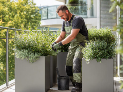 VEGETALISATION-BALCON-ANNEMASSE-SAINT-JULIEN-EN-GENEVOIS-2