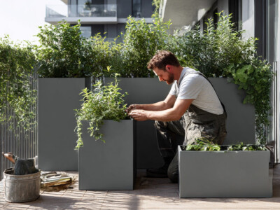 VEGETALISATION-BALCON-ANNEMASSE-SAINT-JULIEN-EN-GENEVOIS-3