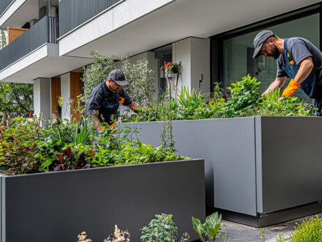 VEGETALISATION-BALCON-GENEVE-2