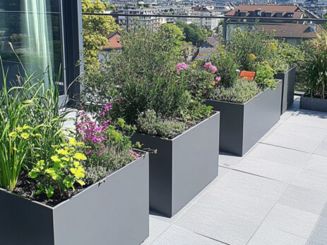 VEGETALISATION-BALCON-GENEVE-6