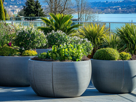 VEGETALISATION-BALCON-GENEVE-7