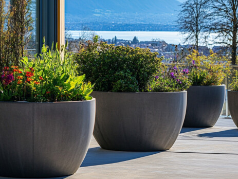 VEGETALISATION-BALCON-GENEVE-8