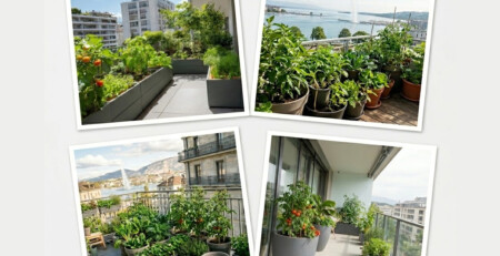 BALCON-POTAGER-EN-VILLE-GENEVE-1