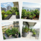 BALCON-POTAGER-EN-VILLE-GENEVE-1