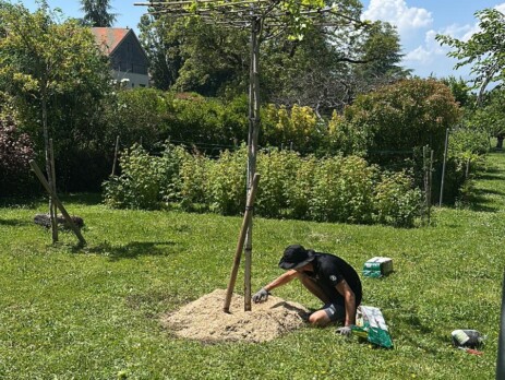 Jardinier Jardin&Décoration réalisant la plantation d’un arbre à Genève