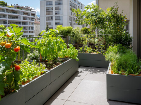 JARDIN-EN-VILLE-GENEVE-1