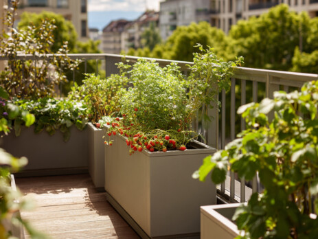 PLANTES-BALCON-GENEVE-1