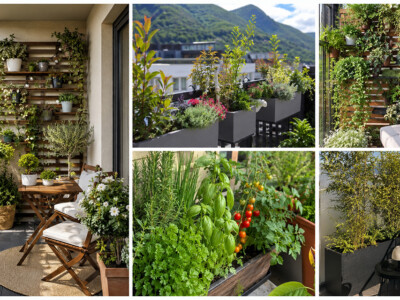 Aménagement d'un petit balcon à Genève avec plantes en pots, mobilier gain de place et décoration naturelle pour profiter d'un espace vert en ville.