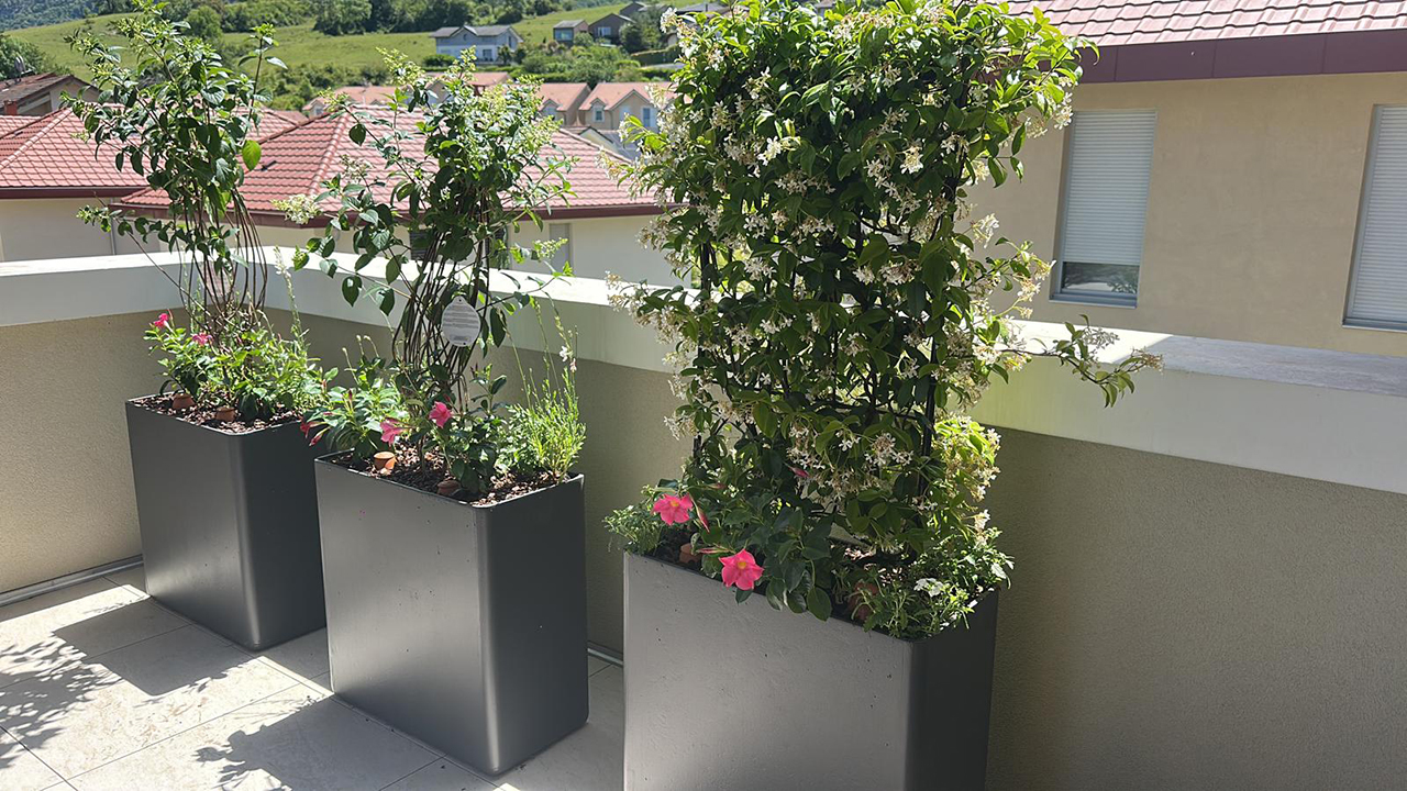 AMENAGEMENT-VEGETALISATION-TERRASSE-PLANTES-BOSSEY-1 Aménagement d’une terrasse à Bossey avec bacs Sessanta gris anthracite