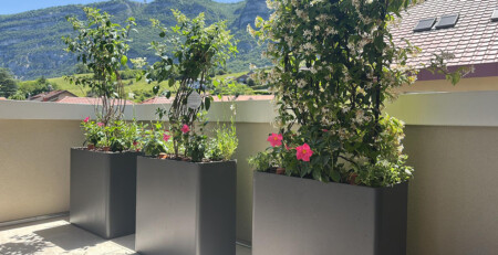 Terrasse végétalisée à Bossey près de Genève avec bacs et plantes fleuries