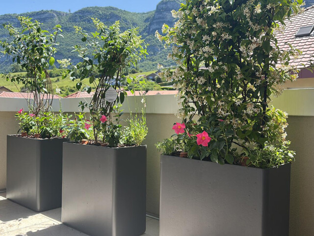 Terrasse végétalisée à Bossey près de Genève avec bacs et plantes fleuries