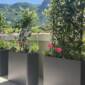 Terrasse végétalisée à Bossey près de Genève avec bacs et plantes fleuries