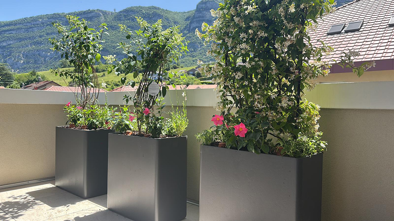 Terrasse végétalisée à Bossey près de Genève avec bacs et plantes fleuries