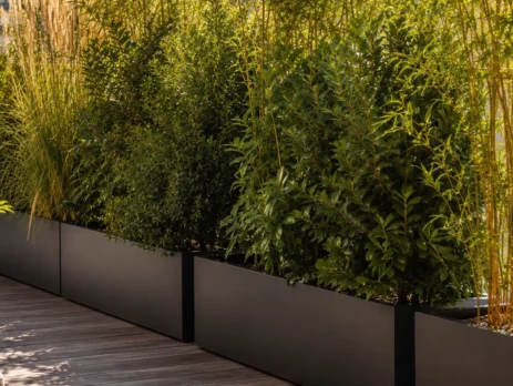 PLANTES-BACS-BALCON-TERRASSE-GENEVE-2