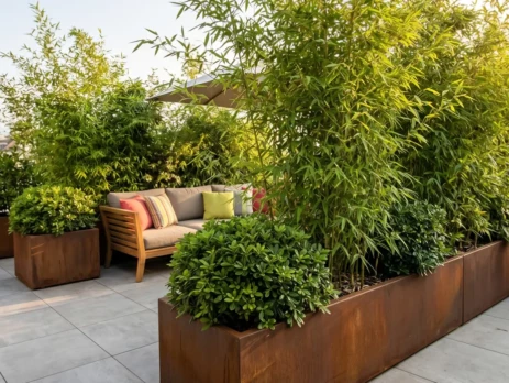 PLANTES-BACS-BALCON-TERRASSE-GENEVE
