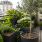 CANICULE-PROTEGER-PLANTES-BALCON-GENEVE-v1