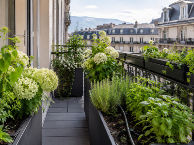 CANICULE-PROTEGER-PLANTES-BALCON-GENEVE-v2