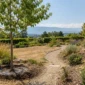 Jardin genevois composé de massifs paillés, de vivaces résistantes et d’un arrosage raisonné pour mieux supporter la sécheresse.