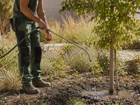 Un jardinier arrose lentement le pied d’un jeune arbre pour humidifier les racines en profondeur tout en économisant l’eau.