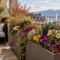 Balcon fleuri à Genève avec plantes en bac adaptées à l’automne et à l’hiver