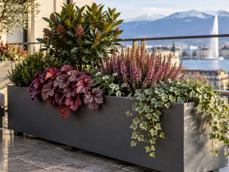 Bacs surélevés et bien drainés sur un balcon à Genève en hiver