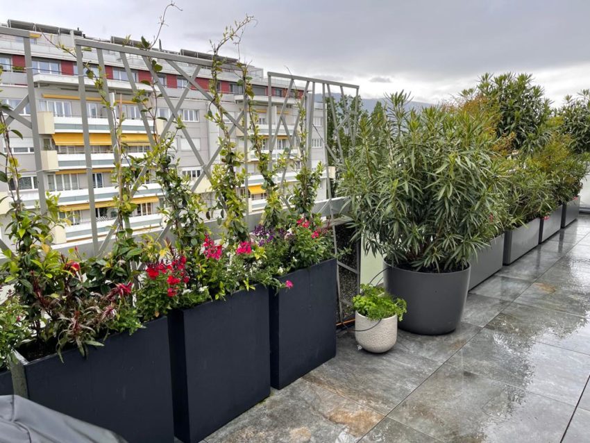 Plantations bacs terrasse attique – Champel