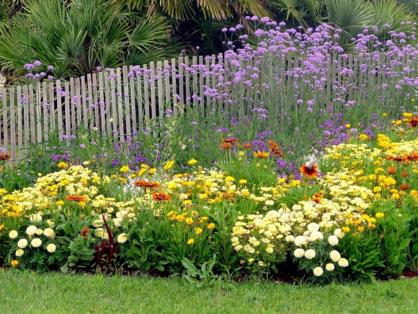 Massifs fleurs